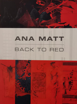 Buchcover Ana Matt | Ana Matt | EAN 9783935052788 | ISBN 3-935052-78-2 | ISBN 978-3-935052-78-8