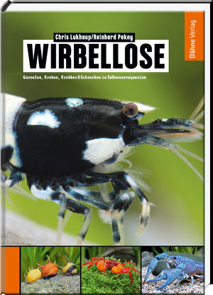 Buchcover Wirbellose | Chris Lukhaup | EAN 9783935175593 | ISBN 3-935175-59-0 | ISBN 978-3-935175-59-3