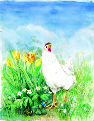 Buchcover Wunder mit Huhn | Ute Kleeberg | EAN 9783935261043 | ISBN 3-935261-04-7 | ISBN 978-3-935261-04-3
