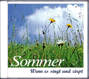 Buchcover Sommer | Karl H Dingler | EAN 9783935329705 | ISBN 3-935329-70-9 | ISBN 978-3-935329-70-5