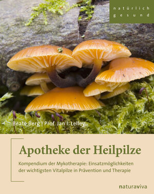 Buchcover Apotheke der Heilpilze | Beate Berg | EAN 9783935407168 | ISBN 3-935407-16-5 | ISBN 978-3-935407-16-8