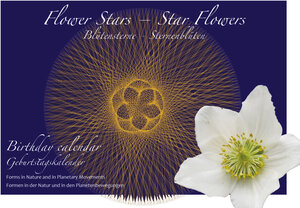 Buchcover Blütensterne - Sternenblüten, Geburtstagskalender | Hartmut Warm | EAN 9783935958226 | ISBN 3-935958-22-6 | ISBN 978-3-935958-22-6