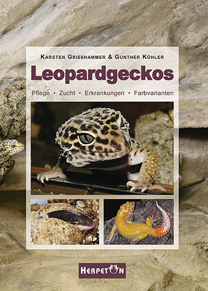 Buchcover Leopardgeckos | Karsten Grießhammer | EAN 9783936180312 | ISBN 3-936180-31-8 | ISBN 978-3-936180-31-2