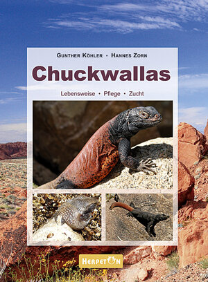 Buchcover Chuckwallas | Gunther Köhler | EAN 9783936180435 | ISBN 3-936180-43-1 | ISBN 978-3-936180-43-5