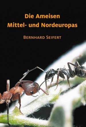Buchcover Die Ameisen Mittel- und Nordeuropas | Bernhard Dr. Seifert | EAN 9783936412031 | ISBN 3-936412-03-0 | ISBN 978-3-936412-03-1