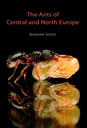 Buchcover The Ants of Central and North Europe | Bernhard Seifert | EAN 9783936412079 | ISBN 3-936412-07-3 | ISBN 978-3-936412-07-9