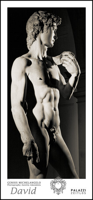 Buchcover GENIUS MICHELANGELO: DAVID  | EAN 9783936421774 | ISBN 3-936421-77-3 | ISBN 978-3-936421-77-4