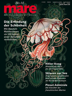 Buchcover mare - Die Zeitschrift der Meere / No. 68 / Schönheit Haeckel  | EAN 9783936543582 | ISBN 3-936543-58-5 | ISBN 978-3-936543-58-2