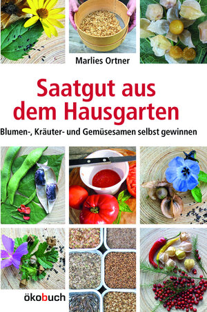 Buchcover Saatgut aus dem Hausgarten | Marlies Ortner | EAN 9783936896534 | ISBN 3-936896-53-4 | ISBN 978-3-936896-53-4