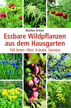 Buchcover Essbare Wildpflanzen aus dem Hausgarten | Marlies Ortner | EAN 9783936896596 | ISBN 3-936896-59-3 | ISBN 978-3-936896-59-6