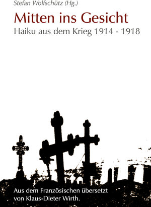 Buchcover Mitten ins Gesicht  | EAN 9783937257754 | ISBN 3-937257-75-6 | ISBN 978-3-937257-75-4