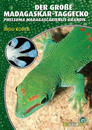 Buchcover Der Große Madagaskar-Taggecko | Ingo Kober | EAN 9783937285054 | ISBN 3-937285-05-9 | ISBN 978-3-937285-05-4