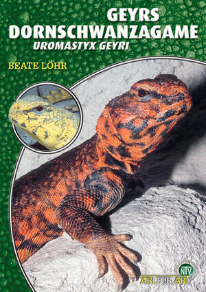 Buchcover Geyrs Dornschwanzagame | Beate Löhr | EAN 9783937285092 | ISBN 3-937285-09-1 | ISBN 978-3-937285-09-2