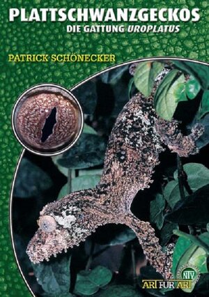 Buchcover Plattschwanzgeckos | Patrick Schönecker | EAN 9783937285283 | ISBN 3-937285-28-8 | ISBN 978-3-937285-28-3