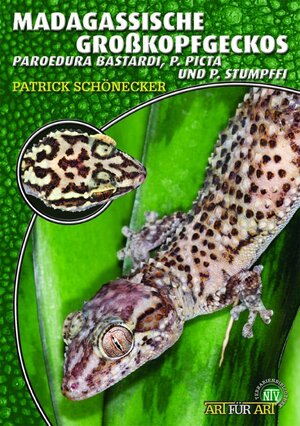 Buchcover Madagassische Großkopfgeckos | Patrick Schönecker | EAN 9783937285757 | ISBN 3-937285-75-X | ISBN 978-3-937285-75-7
