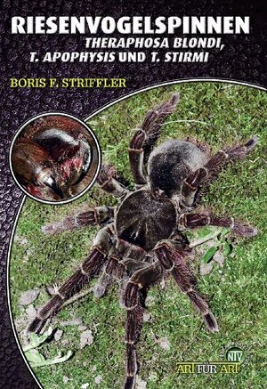 Buchcover Riesenvogelspinnen | Boris F. Striffler | EAN 9783937285795 | ISBN 3-937285-79-2 | ISBN 978-3-937285-79-5