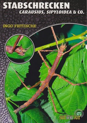 Buchcover Stabschrecken | Ingo Fritzsche | EAN 9783937285849 | ISBN 3-937285-84-9 | ISBN 978-3-937285-84-9