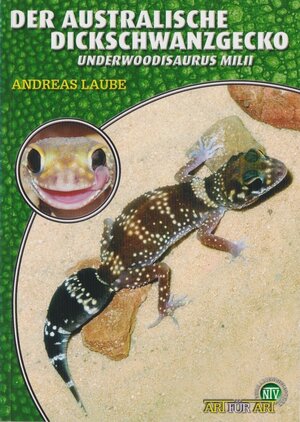 Buchcover Der Australische Dickschwanzgecko | Andreas Laube | EAN 9783937285962 | ISBN 3-937285-96-2 | ISBN 978-3-937285-96-2