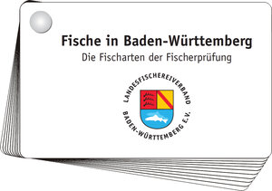 Buchcover Aal bis Zander - Fischkartenset  | EAN 9783937371047 | ISBN 3-937371-04-4 | ISBN 978-3-937371-04-7