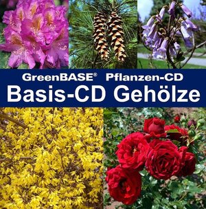 Buchcover Basis-CD Gehölze | EAN 9783937538112 | ISBN 3-937538-11-9 | ISBN 978-3-937538-11-2