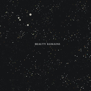 Buchcover Beauty Remains | Sascha Weidner | EAN 9783937664446 | ISBN 3-937664-44-0 | ISBN 978-3-937664-44-6