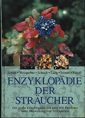 Buchcover Enzyklopädie der Sträucher | Schütt | EAN 9783937872407 | ISBN 3-937872-40-X | ISBN 978-3-937872-40-7