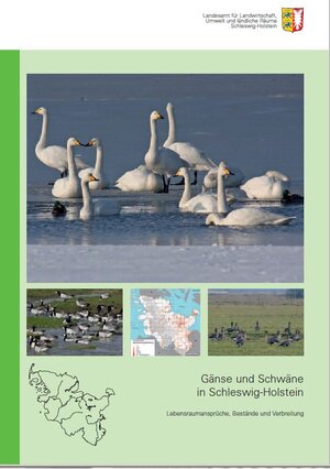 Buchcover Gänse und Schwäne in Schleswig-Holstein  | EAN 9783937937632 | ISBN 3-937937-63-3 | ISBN 978-3-937937-63-2