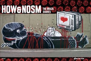 Buchcover HOW & NOSM | Amber Grünhäuser | EAN 9783937946313 | ISBN 3-937946-31-4 | ISBN 978-3-937946-31-3