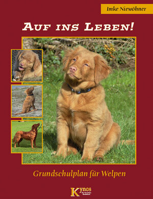 Buchcover Auf ins Leben! | Imke Niewöhner | EAN 9783938071021 | ISBN 3-938071-02-8 | ISBN 978-3-938071-02-1