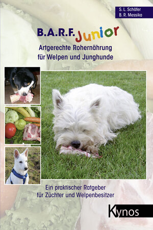Buchcover B.A.R.F. Junior - Artgerechte Rohernährung für Welpen und Junghunde | Barbara R Messika | EAN 9783938071465 | ISBN 3-938071-46-X | ISBN 978-3-938071-46-5
