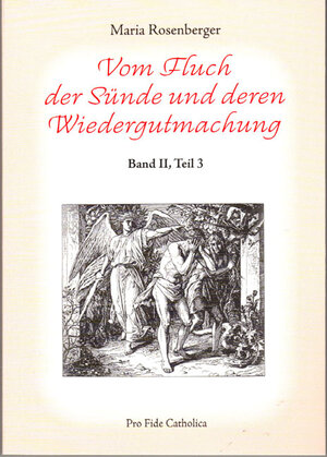 Buchcover Vom Fluch der Sünde und deren Wiedergutmachung | Maria Rosenberger | EAN 9783938235539 | ISBN 3-938235-53-5 | ISBN 978-3-938235-53-9