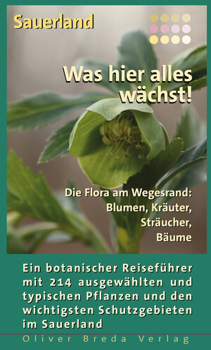 Buchcover Sauerland - Was hier alles wächst! | Susanne Lipps | EAN 9783938282717 | ISBN 3-938282-71-1 | ISBN 978-3-938282-71-7