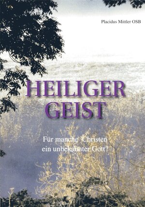 Buchcover Heiliger Geist | Placidus Mittler | EAN 9783938535974 | ISBN 3-938535-97-0 | ISBN 978-3-938535-97-4