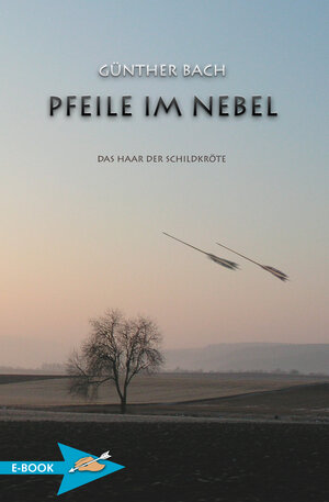 Buchcover Pfeile Im Nebel | Günther Bach | EAN 9783938921210 | ISBN 3-938921-21-8 | ISBN 978-3-938921-21-0