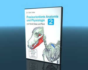 Buchcover Praxisorientierte Anatomie und Physiologie von Hund, Katze und Pferd | Gabriele Volker | EAN 9783939072775 | ISBN 3-939072-77-X | ISBN 978-3-939072-77-5