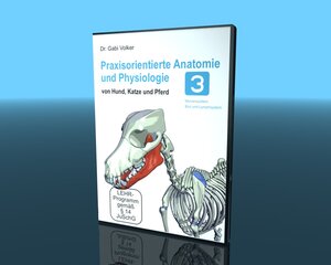Buchcover Praxisorientierte Anatomie und Physiologie bei Hund, Katze und Pferd | Gabriele Volker | EAN 9783939072850 | ISBN 3-939072-85-0 | ISBN 978-3-939072-85-0