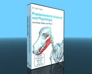 Buchcover Praxisorientierte Anatomie und Physiologie von Hund, Katze und Pferd | Gabriele Dr. Volker | EAN 9783939072881 | ISBN 3-939072-88-5 | ISBN 978-3-939072-88-1