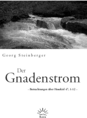 Buchcover Der Gnadenstrom | Georg Steinberger | EAN 9783939075240 | ISBN 3-939075-24-8 | ISBN 978-3-939075-24-0