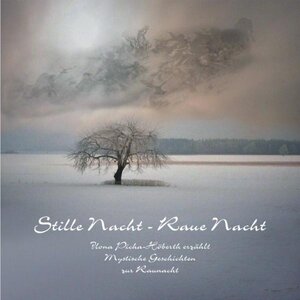 Buchcover Stille Nacht, raue Nacht | Ilona Picha-Höberth | EAN 9783939078142 | ISBN 3-939078-14-X | ISBN 978-3-939078-14-2