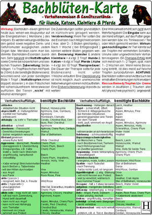 Bachblüten-Karte für Hunde, Katzen, Kleintiere und Pferde. DIN A5: Verhaltensweisen und Gemütszustände