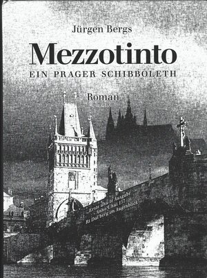 Buchcover Mezzotinto | Jürgen Bergs | EAN 9783939154167 | ISBN 3-939154-16-4 | ISBN 978-3-939154-16-7