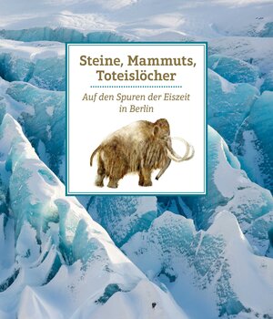 Buchcover Steine, Mammuts, Toteislöcher | Beate Witzel | EAN 9783939254256 | ISBN 3-939254-25-8 | ISBN 978-3-939254-25-6