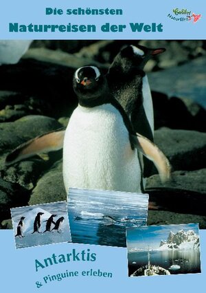 Buchcover Antarktis & Pinguine erleben  | EAN 9783939613008 | ISBN 3-939613-00-2 | ISBN 978-3-939613-00-8