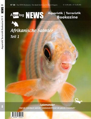 Buchcover NEWS Bookazine Nr. 8 (Frühjahr 2020) | Frank Schäfer | EAN 9783939759430 | ISBN 3-939759-43-0 | ISBN 978-3-939759-43-0