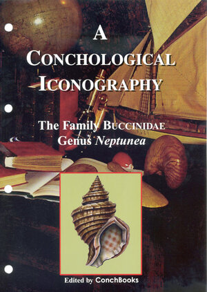 Buchcover A Conchological Iconography. Loseblattausgabe / The Family Buccinidae | Koen Fraussen | EAN 9783939767039 | ISBN 3-939767-03-4 | ISBN 978-3-939767-03-9