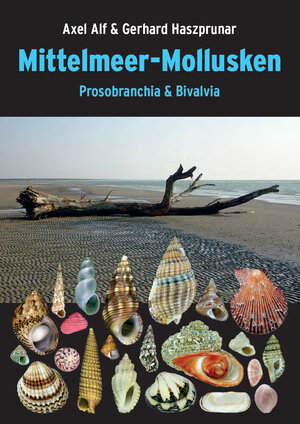 Buchcover Mittelmeer-Mollusken | Axel Alf | EAN 9783939767657 | ISBN 3-939767-65-4 | ISBN 978-3-939767-65-7