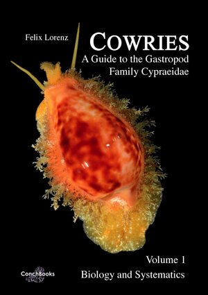 Buchcover Cowries - A Guide to the Gastropod Family Cypraeidae | Felix Lorenz | EAN 9783939767879 | ISBN 3-939767-87-5 | ISBN 978-3-939767-87-9