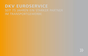 Buchcover DKV Euro Service | Florian Neumann | EAN 9783940061331 | ISBN 3-940061-33-6 | ISBN 978-3-940061-33-1