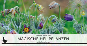 Buchcover Kartenset Magische Heilpflanzen  | EAN 9783940096388 | ISBN 3-940096-38-5 | ISBN 978-3-940096-38-8