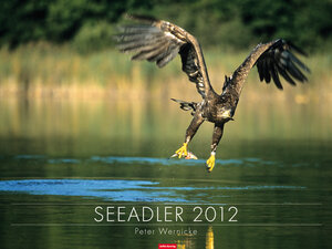 Buchcover Seeadler  | EAN 9783940101976 | ISBN 3-940101-97-4 | ISBN 978-3-940101-97-6